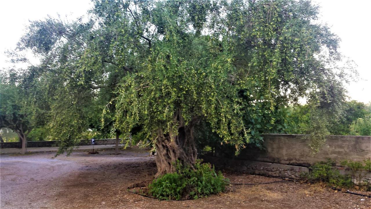 Manto Studios Τυρός Εξωτερικό φωτογραφία