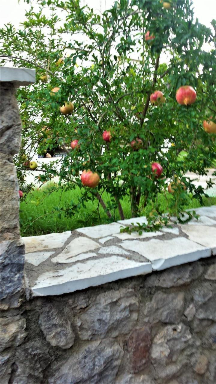 Manto Studios Τυρός Εξωτερικό φωτογραφία